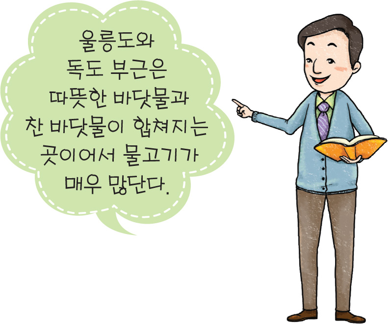 울릉도와 독도 부근은 따뜻한 바닷물과 찬 바닷물이 합쳐지는 곳이어서 물고기가 매우 많단다.