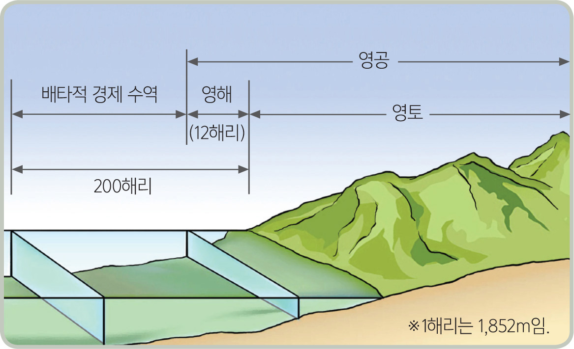 ▲ 영역 모식도