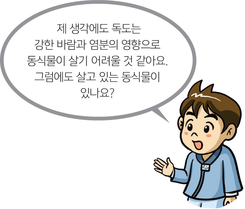 제 생각에도 독도는 강한 바람과 염분의 영향으로 동식물이 살기 어려울 것 같아요. 그럼에도 살고 있는 동식물이 있나요?