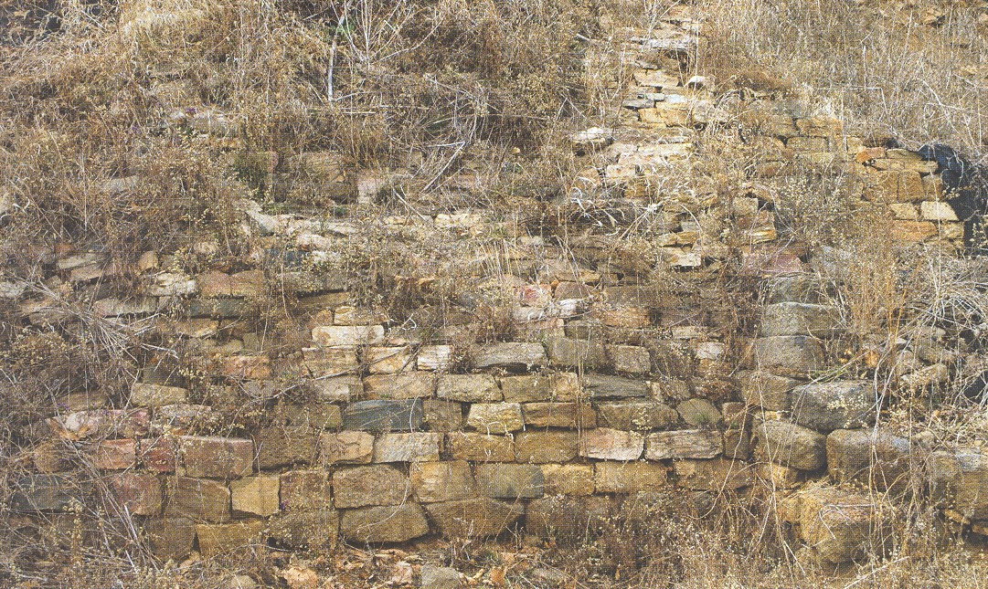 호로고루 성 동벽 세부